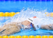 独行侠观众热烈欢呼！莱万多夫斯基迎来十五赛季出色发挥全场沸腾不已